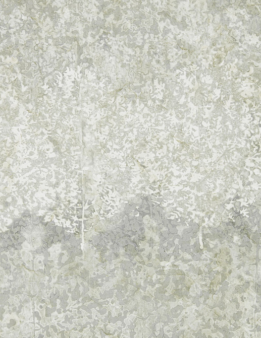 Обои Zoffany Kempshott 312652