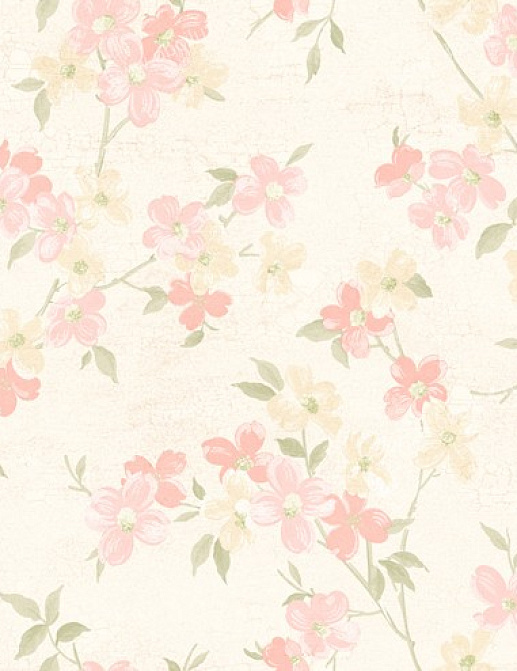Обои York West Wind Design WW4448