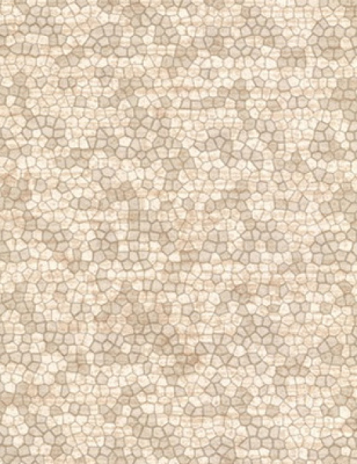 Обои Fresco Elegant SZ001411