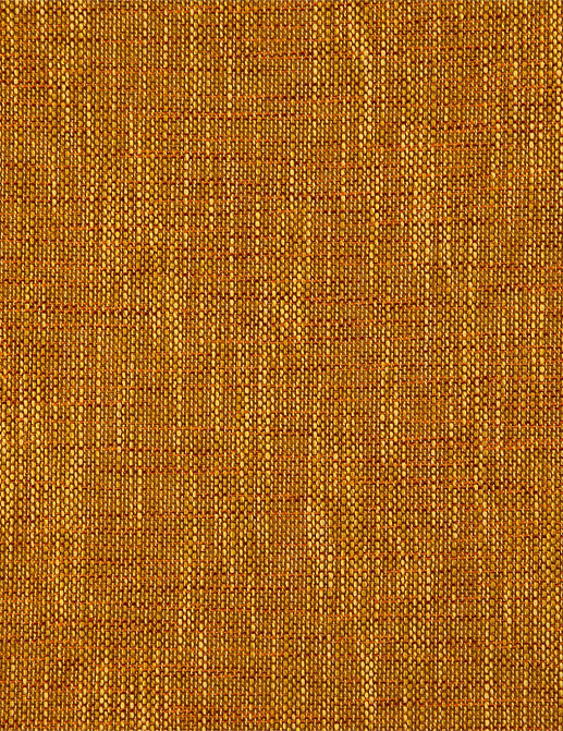 Ткань Scion Sumac 142473