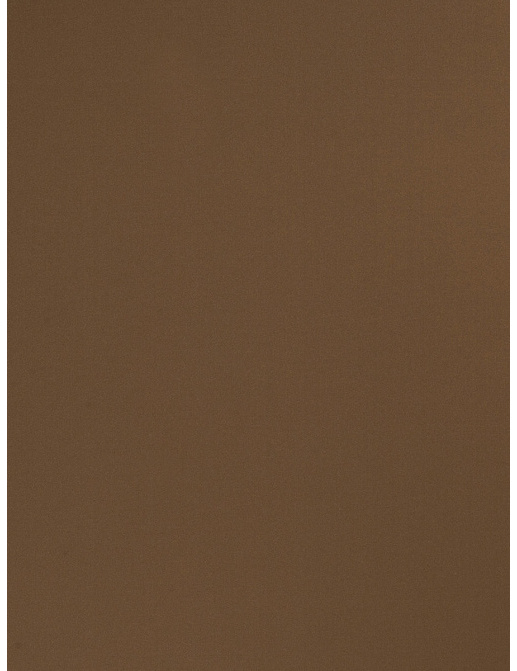 Ткань Trend Multipurpose Sleek Satin Vol.II 02022/Otter