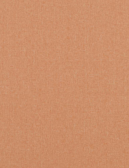 Ткань Baker Lifestyle Notebook Carnival Plain PF50420/324