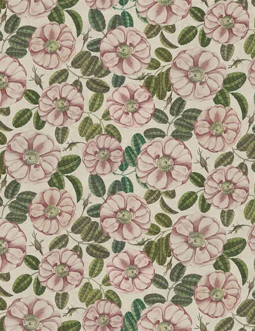 Ткань Designers Guild Picture Book III FJD6055/01