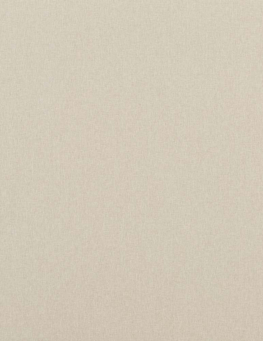 Ткань Baker Lifestyle Notebook Carnival Plain PF50420/110