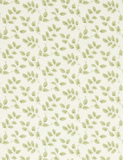 Обои Sanderson Country Woodland 217422
