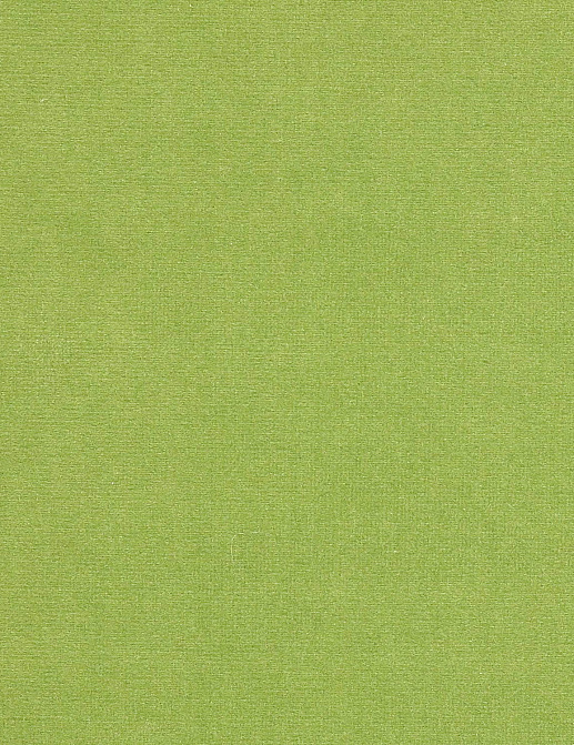 Ткань Manuel Canovas Rivoli II 04982/52