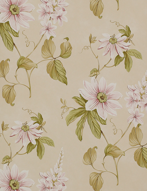 Обои Colefax and Fowler Baptista 07155-01