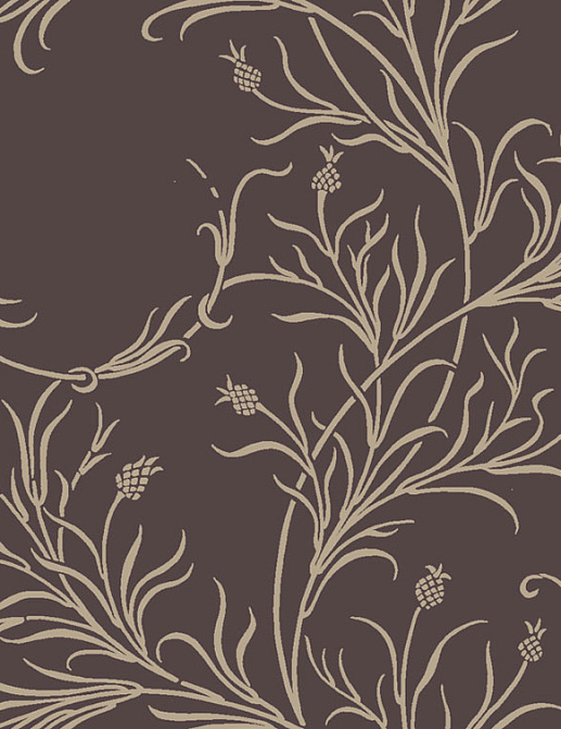 Обои Cole & Son Collection of Flowers 81/12053
