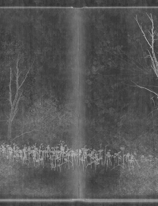 Панно и фотообои Glamora Creative Wallcovering GLAR202A