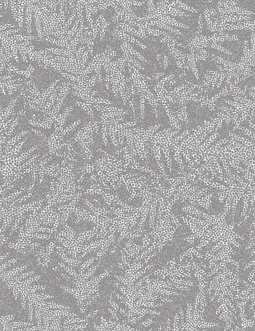 Обои Tiffany Designs Reef RE49