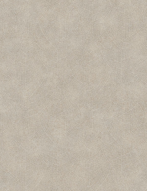 Обои Casadeco So Color 5 COLR26211204