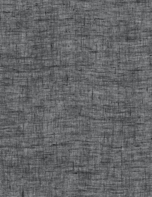 Ткань Kinnasand Lino Lino LinoLino/0023