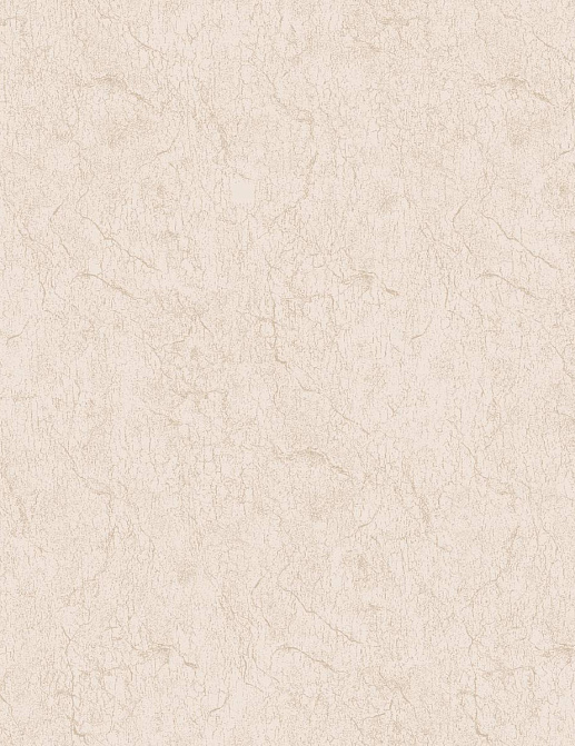 Обои Brewster Evolution 7 BWE071907