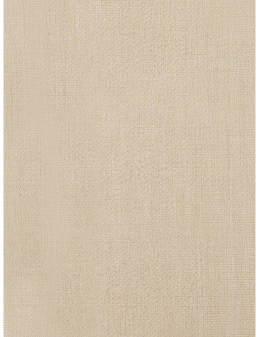 Ткань Trend Drapery dim out library 02888/Sand