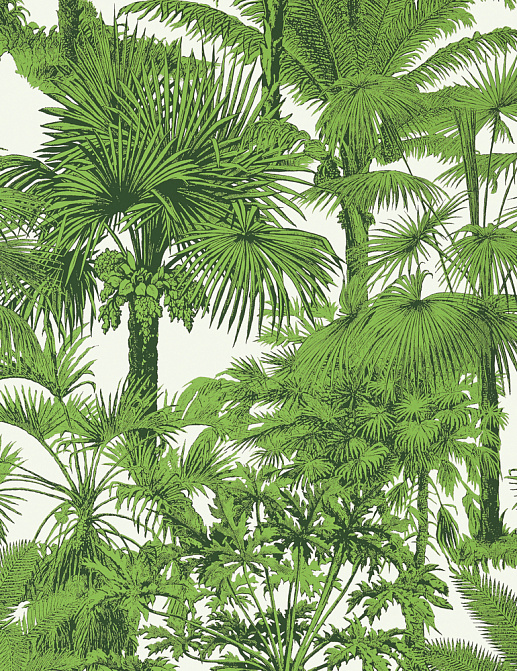 Обои Thibaut Tropics T10103