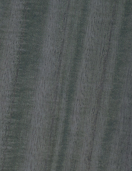 Обои Yana Svetlova Wallcoverings Marqueterie WVP-12