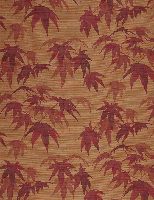 Обои Zoffany Akaishi 312496
