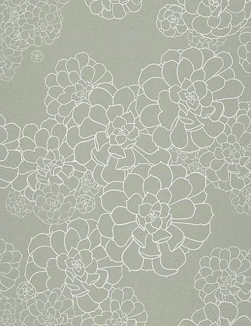 Обои Paint & Paper Library Tresco Aeonium Steel