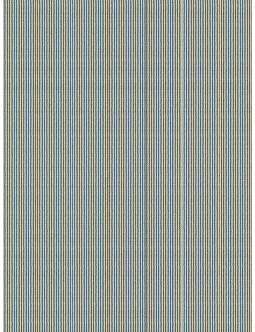 Ткань Fabricut Clean & Classic Indoor/Outdoor Checks & Stripes HikingTicking/Blue