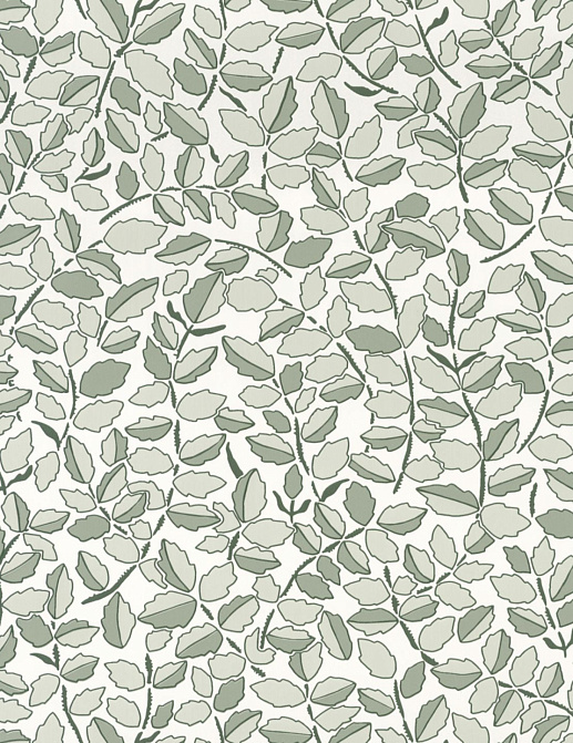 Обои Caselio Dream Garden DGN102297026
