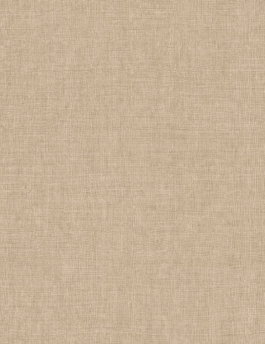 Обои Arte Indienne 18347
