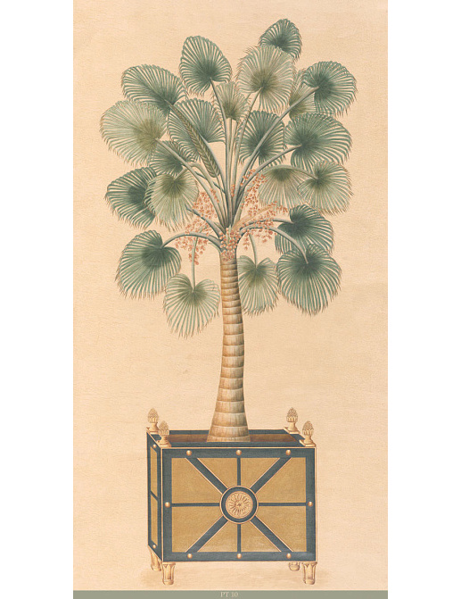Панно и фотообои Iksel Scenic & Architectural Wallpapers Potted Palms PT10