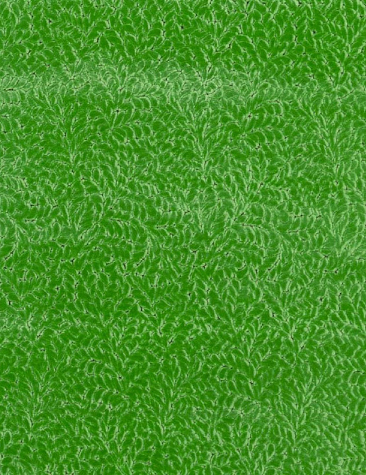 Ткань Designers Guild Cartouche FDG3087/05