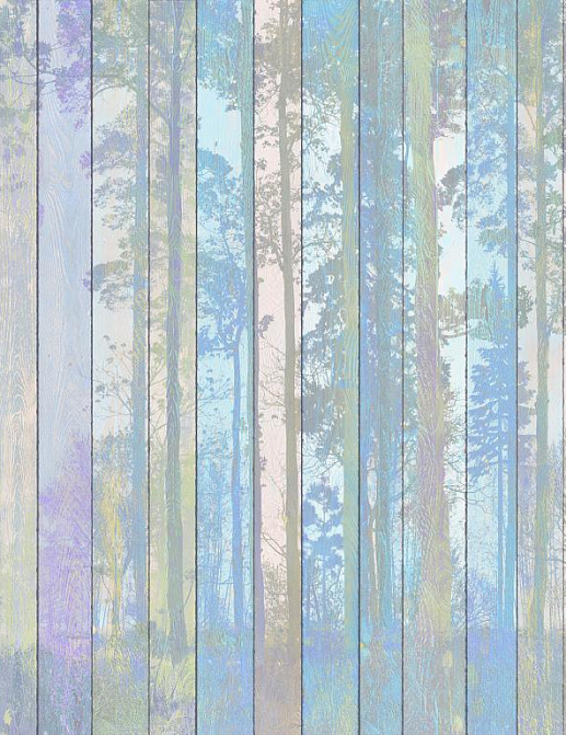 Панно и фотообои Affresco Re-Space NR28 COL1