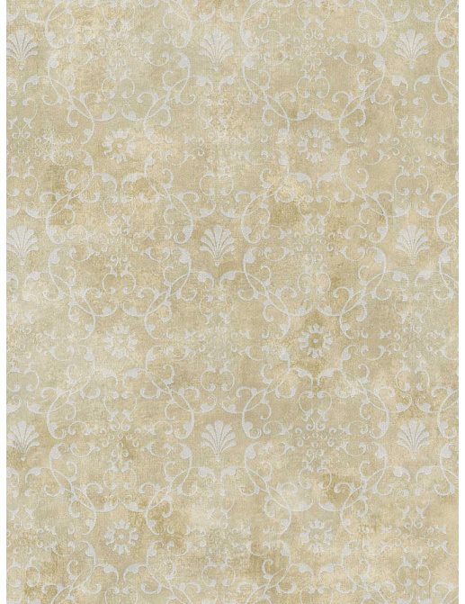 Обои Chesapeake Sand Dollar DLR54653
