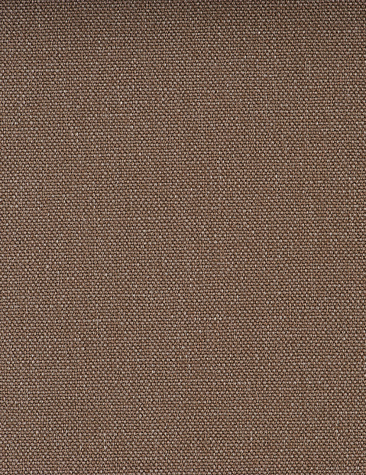 Ткань Camengo Salsa D10381506