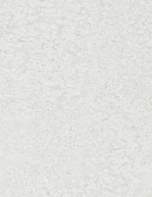 Обои Zoffany Kempshott 312638