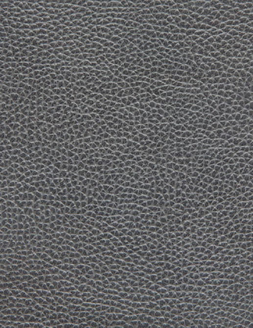 Ткань Holly Hunt Holly Hunt Leather 6013/10