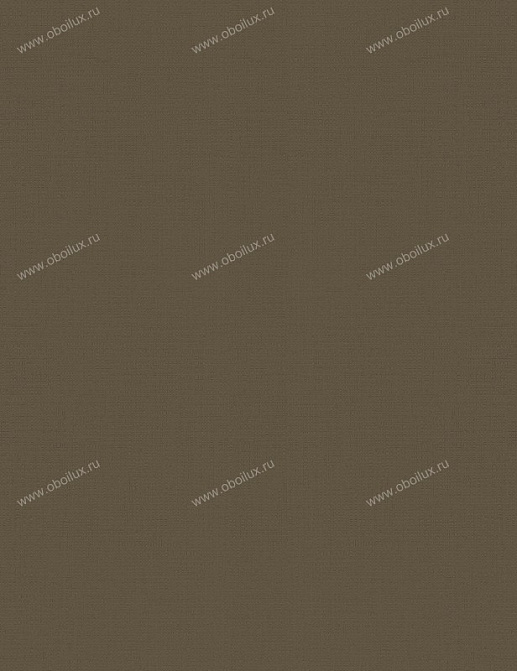 Обои A. S. Creation Colour Courage 8056-76