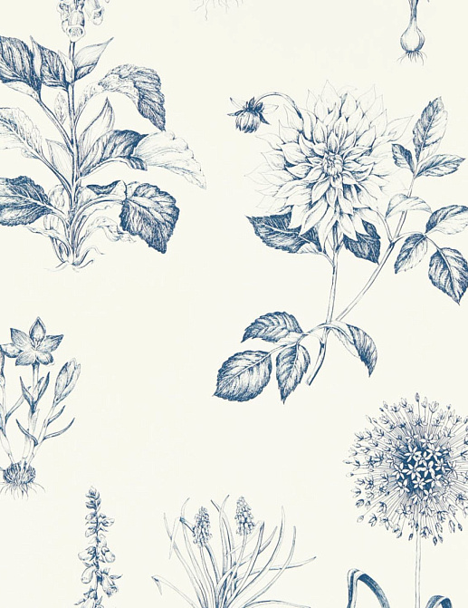 Обои Clarke & Clarke Secret Garden W0197/03