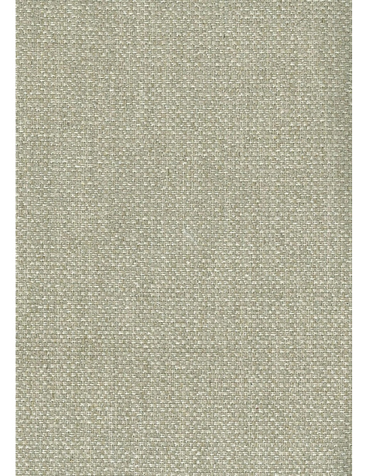 Ткань Nina Campbell Woodsford Weaves NCF4082-06