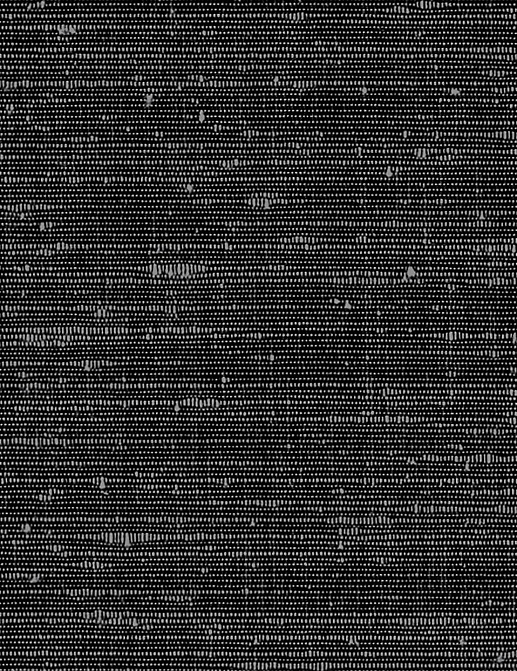 Обои Phillip Jeffries Tailored Walls 8980