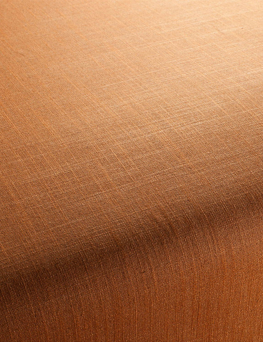 Ткань Chivasso Carlucci di Chivasso Two-Tone vol.2 CA7655/067