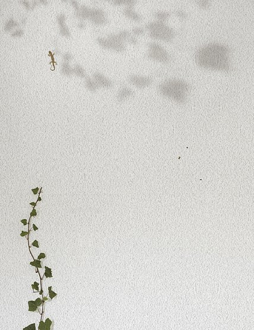 Панно и фотообои JWall One WJE01091