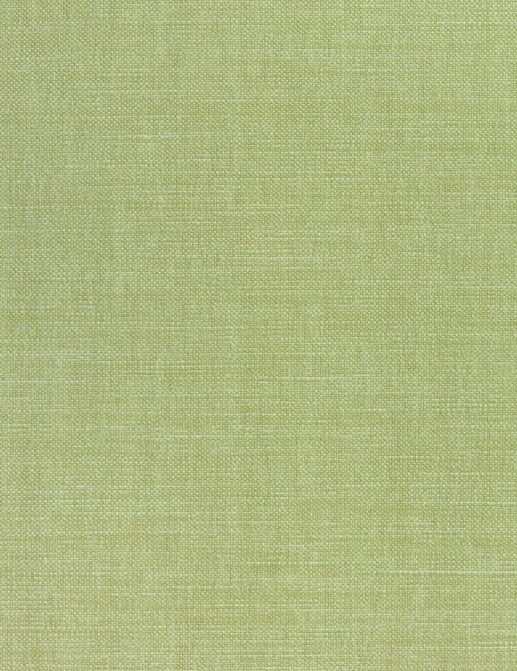 Ткань Thibaut Woven Resource 12 Prisma W70138