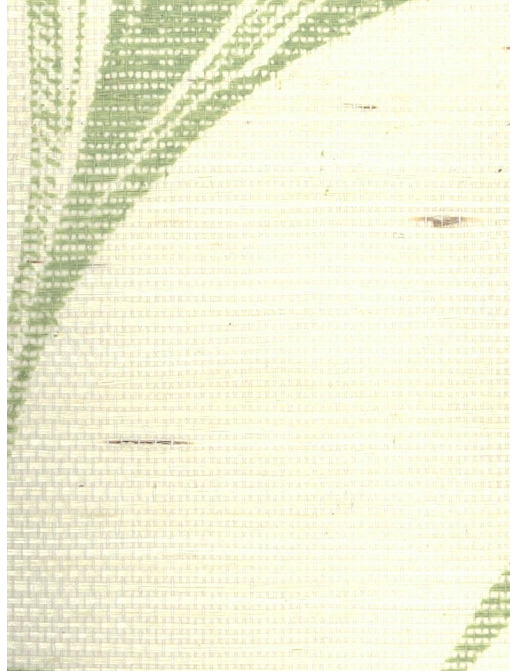 Обои Stroheim Silhouettes Palm Garden Sisal/Green on Oyster