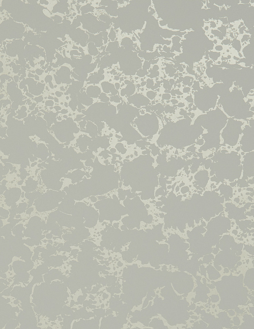 Обои Clarke & Clarke Botanica W0096-05