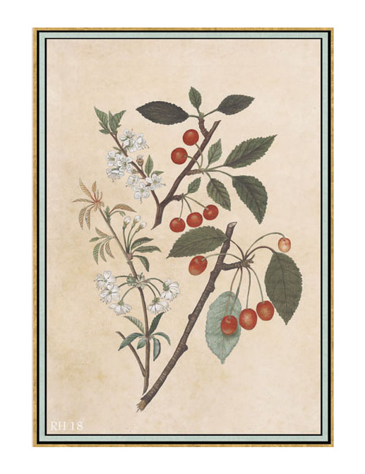 Панно и фотообои Iksel Scenic & Architectural Wallpapers Renaissance Herbier RH18
