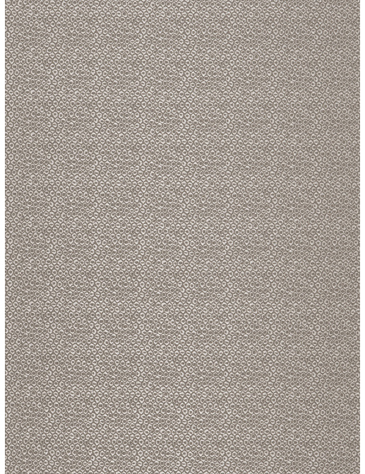 Ткань Fabricut Expressions Vol.V Shadow Kang/Platinum