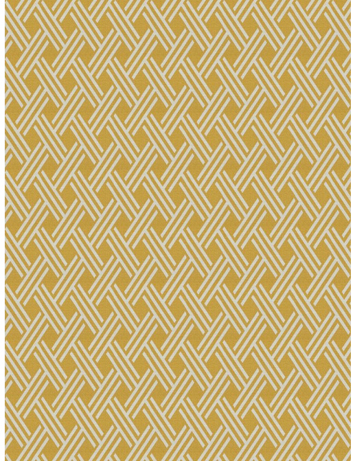 Ткань Fabricut Chromatics Vol.XXII Golden Doulton/Goldenrod