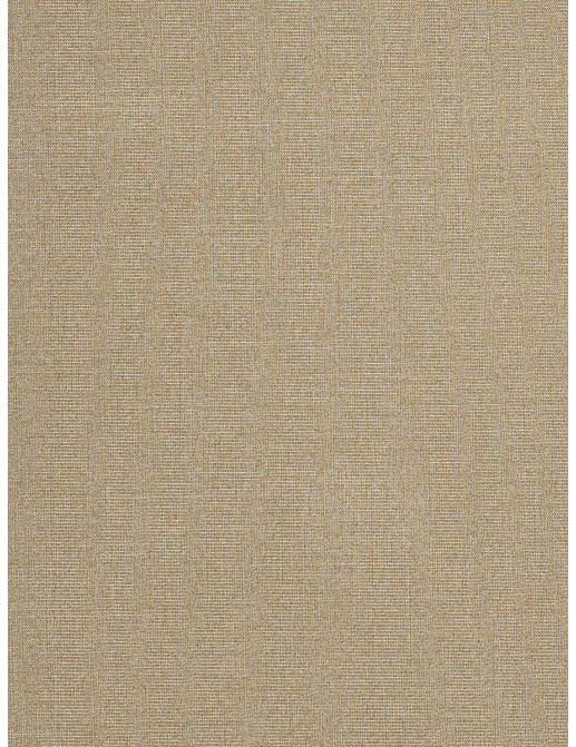 Ткань Trend Drapery dim out library 02887/Flax