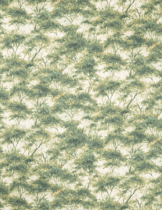 Ткань Clarke & Clarke Elements CCF0883-01