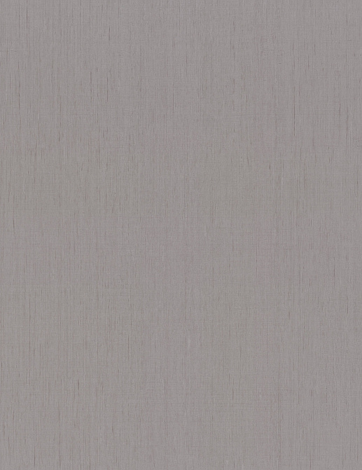 Обои Rasch Indian Style 746068