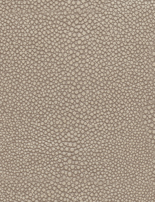 Ткань Holly Hunt Holly Hunt Leather 6000/50