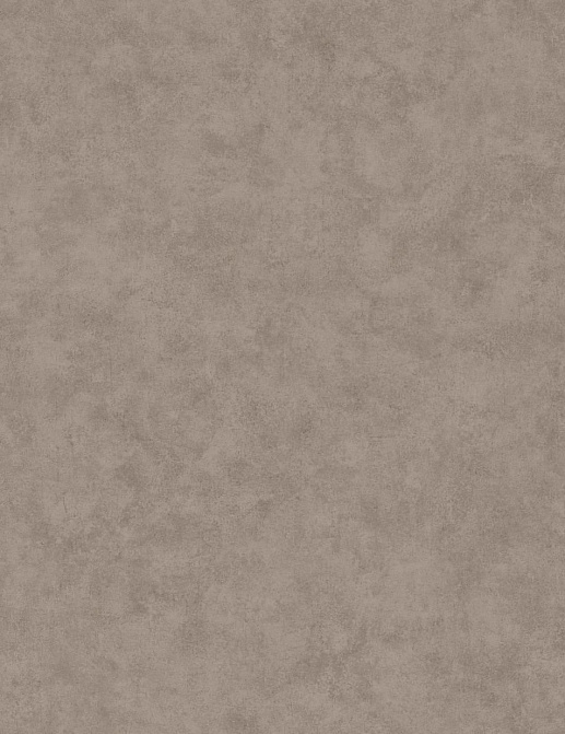 Обои Caselio Beton 101481899
