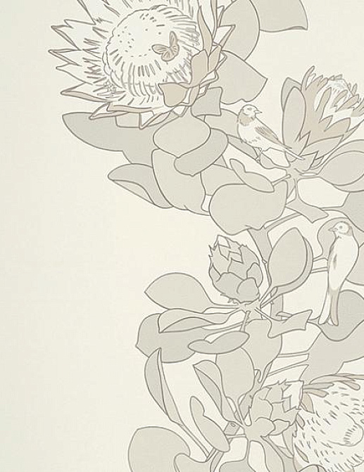 Обои Paint & Paper Library Tresco Protea Trail Slate